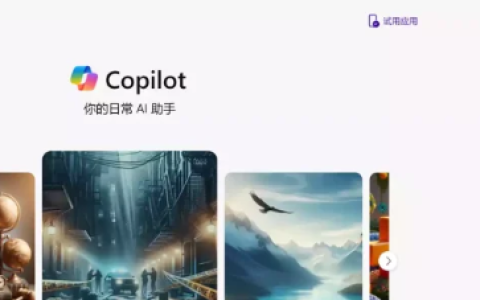 Copilot 一款基于 GPT-4 的人工智能编程助手! 完全免费