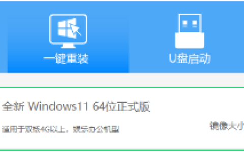 一键在线重装Win11系统视频教程