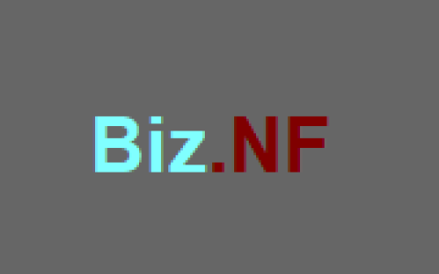 Biz.NF 1G PHP+MySql免费空间 c1.biz 的免费域名