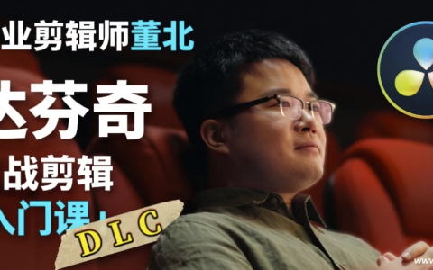 B站董北-达芬奇实战剪辑入门课