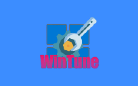 win10/win11系统优化工具 WinTune v2.8.0 中文绿色版