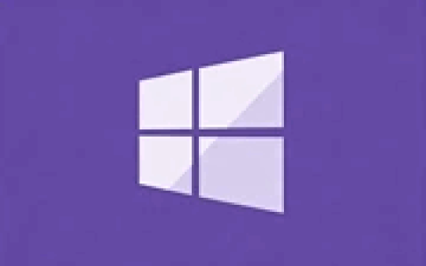 常用运行库合集 AIO RuntimePack_By:nanlon v6.0.26.0607