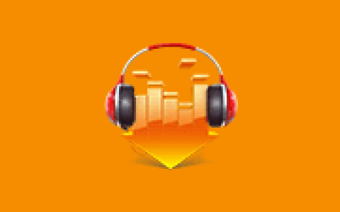 DLNow Video Downloader v1.56.2026.10.11 多语便携版