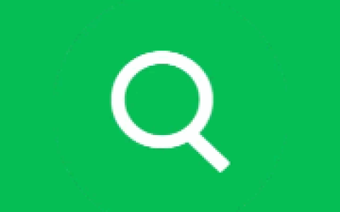 文件搜索神器 UltraSearch Pro v4.9.3.1301 便携/安装版