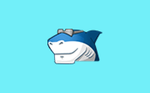多媒体编解码器套件 Shark007 Codecs v20.9.5 便携版
