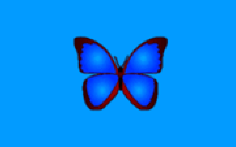小巧精悍数码照片浏览器 bkViewer v8.9a 中文绿色版
