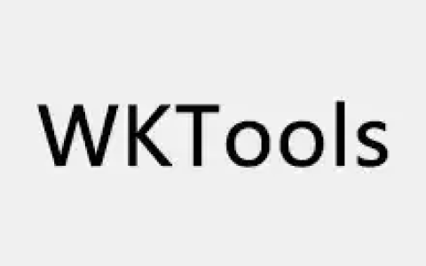 WKTools(Windows内核级辅助工具) v1.0.0.21
