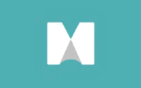 MindManager(思维导图软件) 2025 v24.1.150
