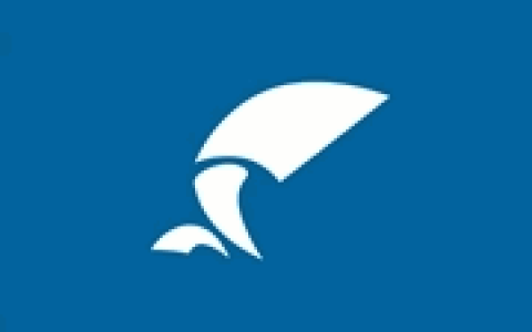 FTP服务器软件 Wing FTP Server Corporate v8.2.4 中文企业版