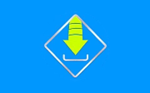 在线视频下载工具 Allavsoft v3.29.6.9767 多语便携版
