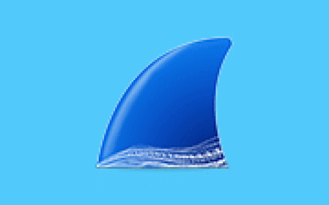 网络抓包工具 Wireshark v4.6.9 集成驱动库中文便携版