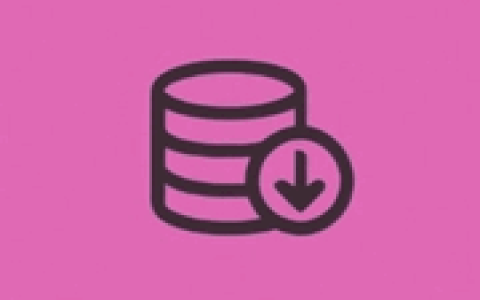 B站视频下载工具 BiliDownloader v1.4.0 中文绿色版