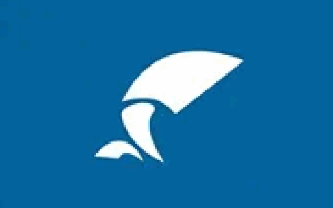 FTP服务器软件 Wing FTP Server Corporate v8.2.5 最新版