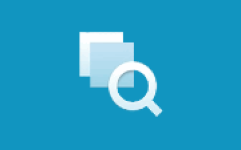 查找重复文件 Auslogics Duplicate File Finder v11.2.0.6 便携版