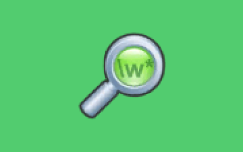文件搜索工具 dnGrep v5.0.65.0 中文绿色版