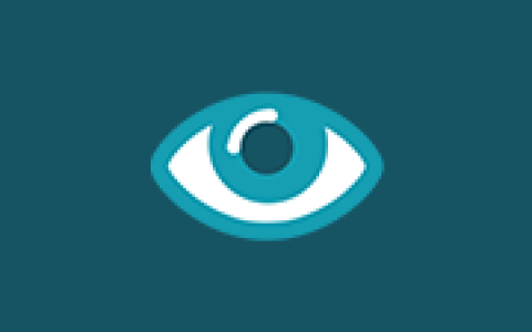 调节屏幕亮度和颜色 CareUEyes v2.7.0.0 多语便携版