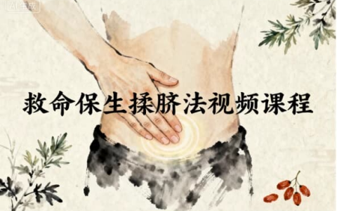 救命保生揉脐法视频课程