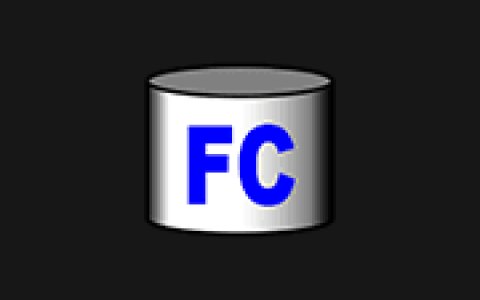 FastCopy Pro v5.11.2 文件快速复制工具｜单文件/绿色/便携版
