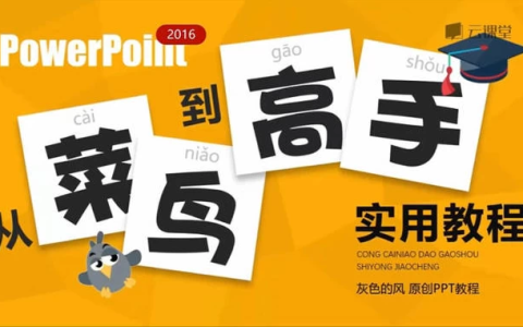 [PPT/幻灯片] PPT从菜鸟到高手实用教程 [1.2G]