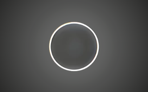 泼辣修图 Polarr v6.12.0 会员版 解锁会员高级功能 免费无限制