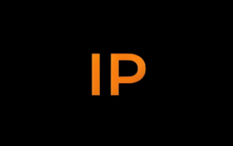 IP工具箱 IP Tools  v9.8 纯净版 全能网络分析神器