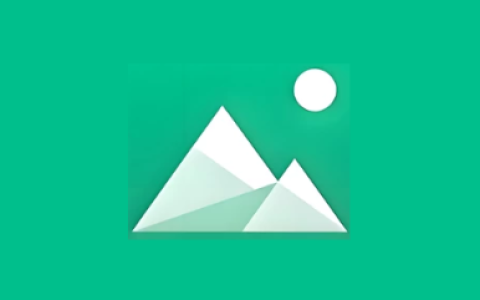 Piktures v2.24 build956 高级版 极简高效的安卓相册管理工具