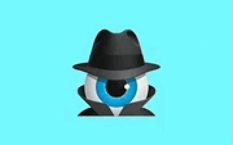 浏览器数据恢复工具 Hetman Internet Spy v4.4 多语便携版