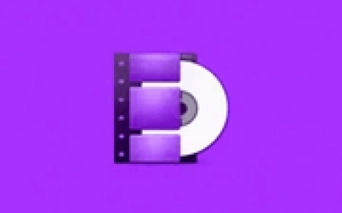 专业DVD转换软件 WonderFox DVD Ripper Pro v24.3 便携版