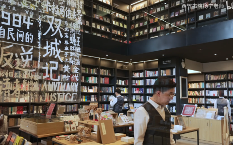 B站 - 杨宁老师的文学启示课，解锁经典作品的深层意义与审美体验
