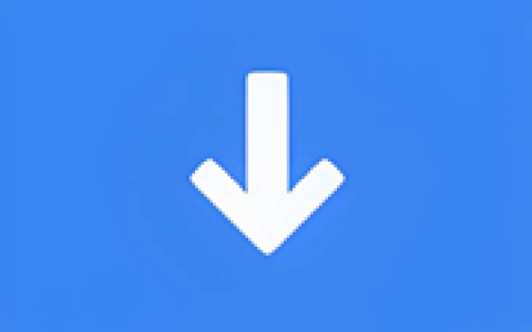多协议下载管理器 FluxDown v0.6.3 多语便携版