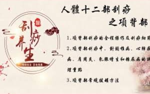 【中医课程】刘霞新版人体十二部刮痧视频课程（13集）