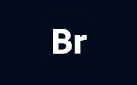 Adobe Bridge 2026 v16.0.8.10 直装解锁版KpoJIuK