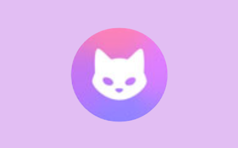 桌面网络代理 Clash Verge rev v2.5.5 绿色版