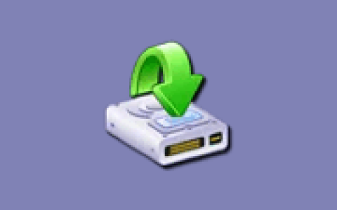 虚拟磁盘映射工具 NTWind Visual Subst v6.1 多语便携版
