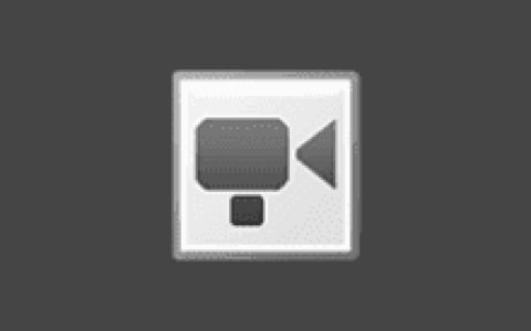 专业屏幕录制软件 NTWind WinCam v4.3 多语便携版