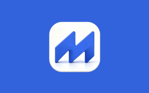 代码收藏夹 MassCode v6.3.1 代码片段管理器