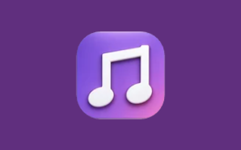 多平台音乐 DPmusic v1.2.13 多平台聚合音乐播放器
