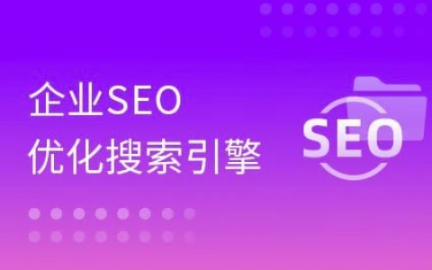 大咖带你玩转企业SEO搜索引擎优化